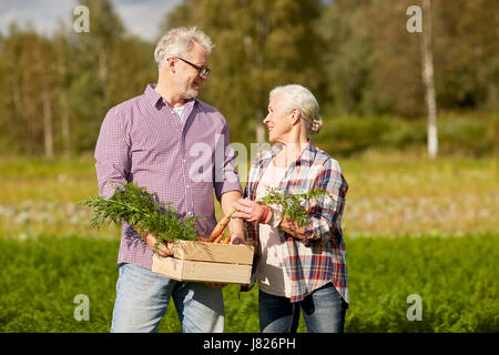 Coppia senior con scatola di carote in agriturismo Foto Stock