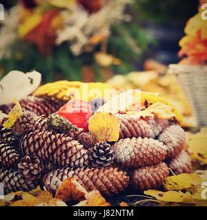 La natura in autunno concetto. Bellissime decorazioni d'autunno. Coloratissimi fiori autunnali presso il cimitero - Halloween. Foto Stock