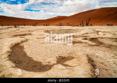 Pan di Deadvlei Foto Stock