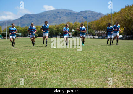 Rugby gioca il match in campo erboso sulla giornata di sole Foto Stock