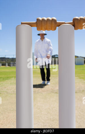 Cricket monconi contro arbitro in piedi sul campo contro sky Foto Stock