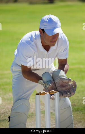 Wicketkeeper concentrato in piedi dietro di monconi sul campo durante la giornata di sole Foto Stock