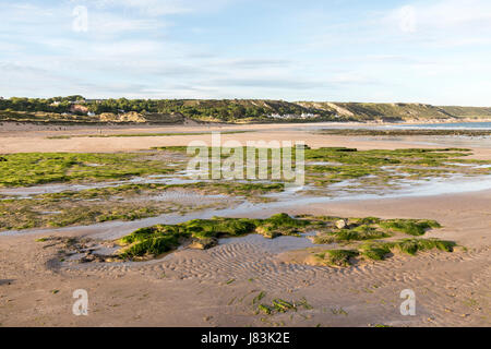 Spiaggia di Port Eynon a bassa marea, Gower, Wales, Regno Unito Foto Stock