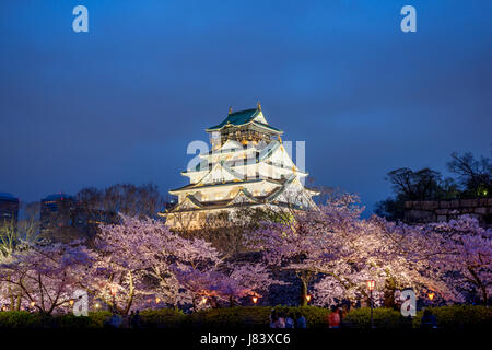 Osaka in Giappone presso il Castello di Osaka durante la primavera la fioritura dei ciliegi stagione. Foto Stock