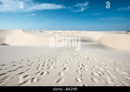 Tracce di turisti che conduce attraverso le dune di sabbia con il blu e il verde lagune Lencois Maranhenses National Park, Brasile Foto Stock