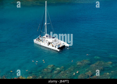 Snorkeling nuotare dalla trilogia 111in catamarano la Baia Honolua riserva marina, Maui, Hawaii Foto Stock