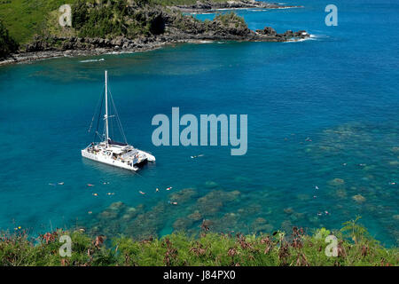 Snorkeling nuotare dalla trilogia 111in catamarano la Baia Honolua riserva marina, Maui, Hawaii Foto Stock