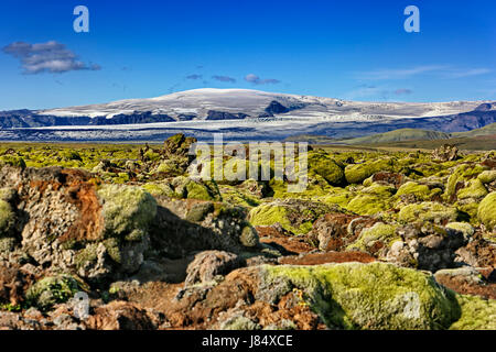 Moss-coperto campo di lava Laufskálavarða, sul retro vulcano Katla, Kirkjubaejarklaustur, Suðurland, Isola Foto Stock