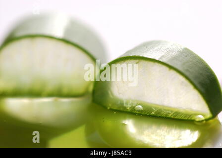 Aloe vera gel cosmetici serie Foto Stock