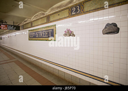 La metropolitana di arte presso la 23rd Street n, q e r il treno alla metropolitana piattaforma in Manhattan, New York City. Stock Photo alla Metropolitana di arte presso la 23rd Street n, q e r trai Foto Stock