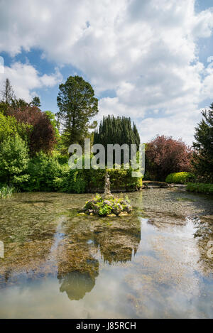 Koi lago a Thornbridge alle prese hall gardens vicino grande Longstone, Derbyshire, in Inghilterra. Foto Stock