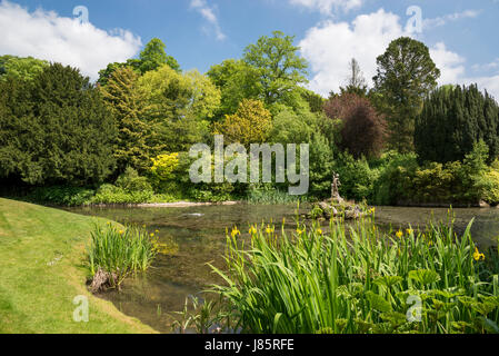 Koi lago a Thornbridge alle prese hall gardens vicino grande Longstone, Derbyshire, in Inghilterra. Foto Stock