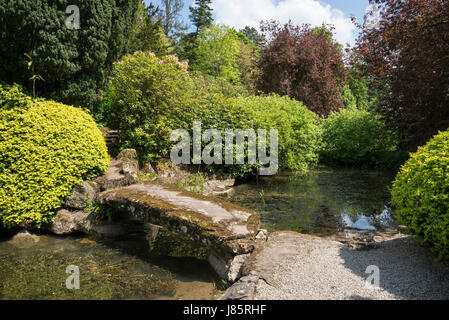 Koi lago a Thornbridge alle prese hall gardens vicino grande Longstone, Derbyshire, in Inghilterra. Foto Stock