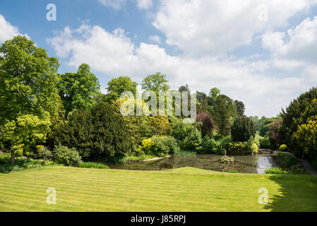 Koi lago a Thornbridge alle prese hall gardens vicino grande Longstone, Derbyshire, in Inghilterra. Foto Stock