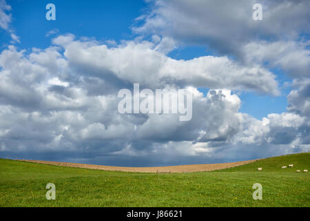 La Offa's Dyke, percorso una lunga distanza sentiero lungo il confine tra Inghilterra e Galles. Su Hawthorn Hill, nei pressi di Knighton, Powys, Regno Unito Foto Stock