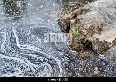 Inquinamento del fiume Teifi, Wales, Regno Unito Foto Stock