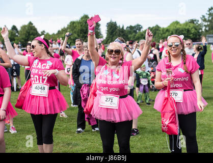 Brentwood, Essex, Regno Unito. 27 Maggio, 2017. Runnders alla ricerca sul cancro corsa per la vita a Weald Park, Brentwood, Essex Credit: Ian Davidson/Alamy Live News Foto Stock