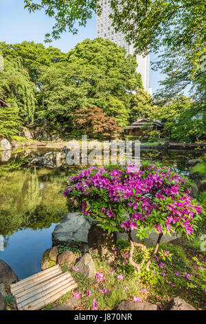 Shinchi Teien o Giardino Sacro dello Stagno al Santuario Yasukuni in Primavera, Tokyo, Giappone Foto Stock