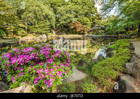 Shinchi Teien o Giardino Sacro dello Stagno al Santuario Yasukuni in Primavera, Tokyo, Giappone Foto Stock