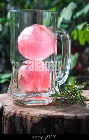 Aroma di lampone ghiaccio in acqua di soda decorate con rosmarino posto sul moncone di legno Foto Stock
