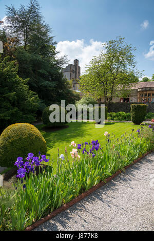 Fioritura barbuto Iris sulla terrazza profumata a Thornbridge alle prese hall gardens vicino grande Longstone, Derbyshire, in Inghilterra. Foto Stock