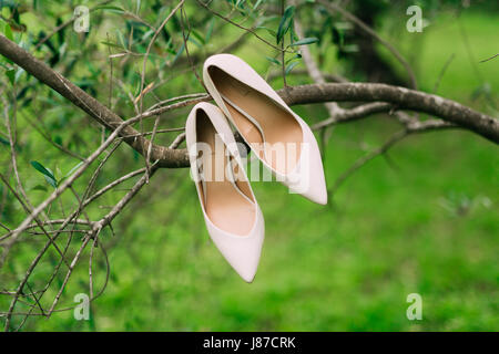 Crema leggera Scarpe sposa appeso su un ramo di olivo. Foto Stock