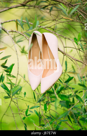 Crema leggera Scarpe sposa appeso su un ramo di olivo. Foto Stock