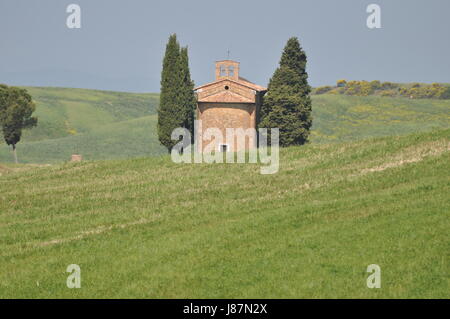 Toscana,val d & # 039 orcia,vitaleta Foto Stock