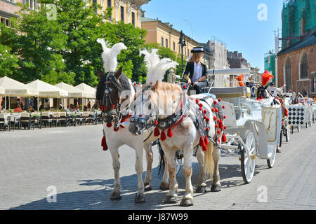 Cracovia in Polonia - 1 settembre 2016. Carrozza a cavallo per il City sightseeing tours in Cracovia la piazza principale del mercato (Rynek). Foto Stock