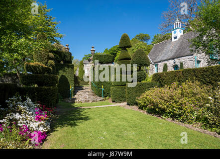 Topiaria da a Plas Brondanw giardini vicino Garreg, il Galles del Nord. Un bellissimo giardino creato da Clough Williams-Ellis. Foto Stock