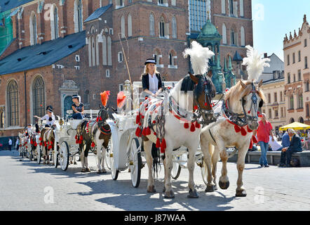 Cracovia in Polonia - 1 settembre 2016. Carrozza a cavallo per il City sightseeing tours in Cracovia la piazza principale del mercato (Rynek). Foto Stock