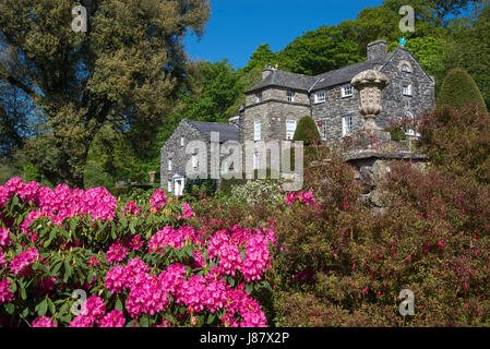 Casa e giardino in primavera. Plas Brondanw giardini vicino Garreg, il Galles del Nord. Un bellissimo giardino creato da Clough Williams-Ellis. Foto Stock