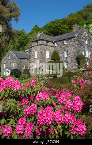 Casa e giardino in primavera. Plas Brondanw giardini vicino Garreg, il Galles del Nord. Un bellissimo giardino creato da Clough Williams-Ellis. Foto Stock