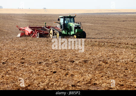 Le patate raccolte in una fattoria di Idaho campo. Foto Stock