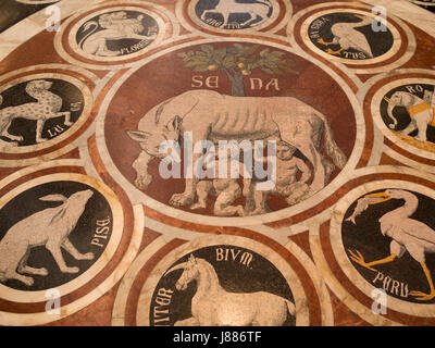 Lupa senese, pavimento a mosaico, Duomo di Siena Foto Stock