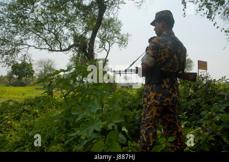 Un soldato o 'jawan' del Bangladesh fucili (BDR) di pattuglia al confine Bangladesh-India in Darshana, Chuadanga, Bangladesh Foto Stock