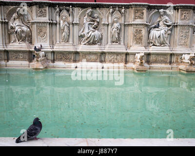 Fonte Gaia, Piazza del Campo a Siena Foto Stock