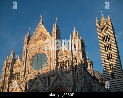 Duomo di Siena facciata al tramonto Foto Stock