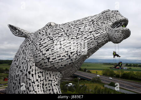 È sotto embargo per 0001 Lunedì 29 Maggio corda tecnici di accesso Andrew Pennycuick (fondo), Paul Smith (centro) e John Benson effettuare il primo controllo sanitario sul Kelpies a Falkirk come essi si avvicinano al loro terzo compleanno. Foto Stock