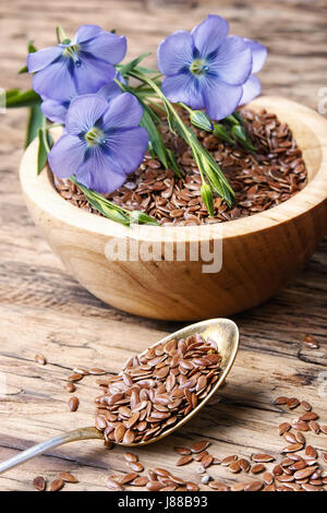 I semi di lino e boccioli di fiore di lino su uno sfondo di legno Foto Stock