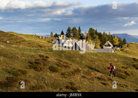 Donna escursionismo sul prato Krstenica, Bohinj, Slovenia. Foto Stock