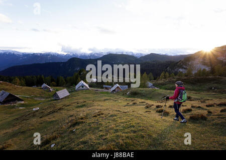 Donna escursionismo sul prato Krstenica, Bohinj, Slovenia. Foto Stock