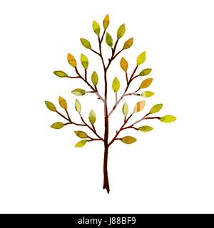 Struttura ad albero. Disegnate a mano immagine ad acquerello su sfondo bianco Foto Stock