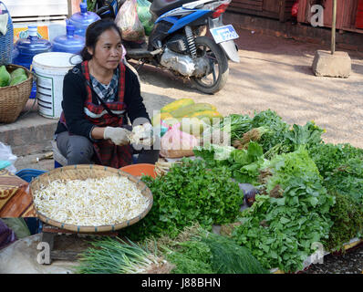 Il mercato locale a Luang Prabang, Laos Foto Stock