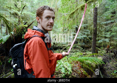 Un ambientalista azienda contrassegnando la marcatura del nastro un futuro accesso stradale in una vecchia foresta pluviale di crescita sull'Isola di Vancouver, British Columbia, Canada. Foto Stock