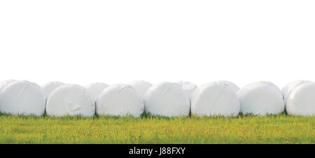 Avvolto impilate balle di insilato di fila, turno isolato pellicola di plastica bianca rotoli di fieno, haylage pila righe panorama, prateria orizzontale closeup, estate verde Foto Stock