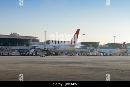 Compagnia aerea turca aerei all'aeroporto di Istanbul, Turchia Foto Stock