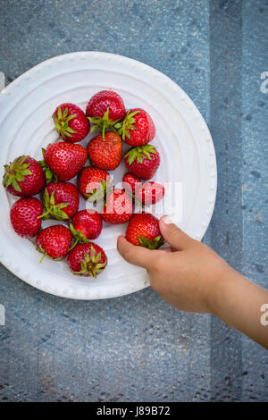 Il bambino prende una fragola Foto Stock