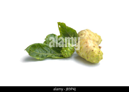 Il Noni frutto per la salute e le erbe per la salute isolati su sfondo bianco. Foto Stock