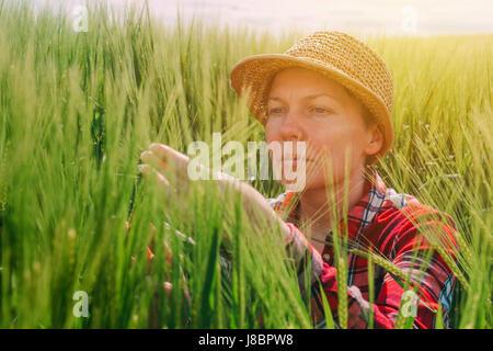 L'agricoltore femmina esaminando spighe di grano in campo, donna che lavorano sul raccolto di cereale piantagione e la messa a fuoco selettiva Foto Stock